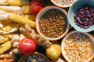 An assortment of harvested seeds and sources.