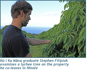 Ku I Ka Mana graduate Stephen Filipiak examines a lychee tree on the property he co-leases in Ninole