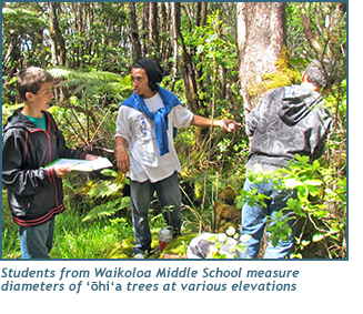 Students from Waikoloa Middle School measure diameters of ohia trees at various elevantions