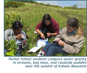 Parker School students compare water quality in streams, bog moss, and roadside puddles near the summit of Kohala Mountain