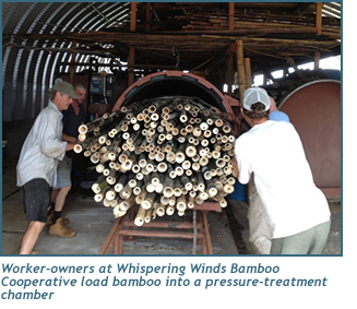 Worker-owners at Whispering Winds Bamboo Cooperative load bamboo into a pressure-treatment chamber