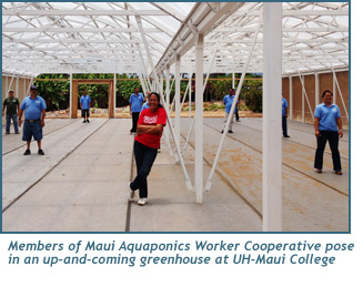Members of Maui Aquaponics Worker Cooperative pose in an up-and-coming greenhouse at UH-Maui College