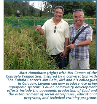 Matt Hamabata (right) with Mel Camon of the Consuelo Foundation. Inspired by a conversation with The Kohala Center’s Jim Cain, Mel and his colleagues in Calauan, Laguna can now produce rice using aquaponic systems. Caluan community development efforts include the aquaponic production of food and the establishment of social enterprises, educational programs, and technical training programs.