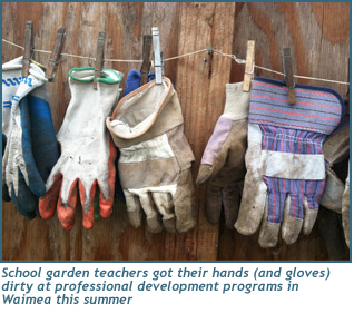 School garden teachers got their hands dirty at professional development programs in Waimea this summer