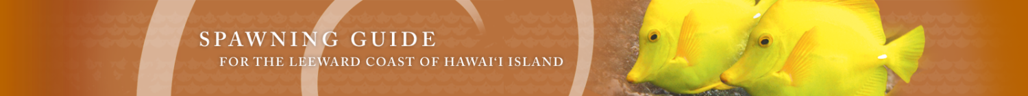 Spawning Guide | Hawaiian Moon Phases | A program of The Kohala Center