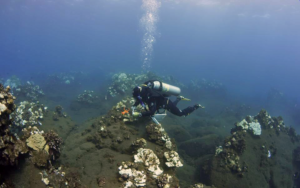 A SCUBA diver assesses sediment on a coral reef in Honokoa Bay