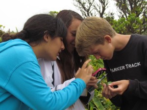 Dash finds native snails with his research team during the HI-MOES program in 2013