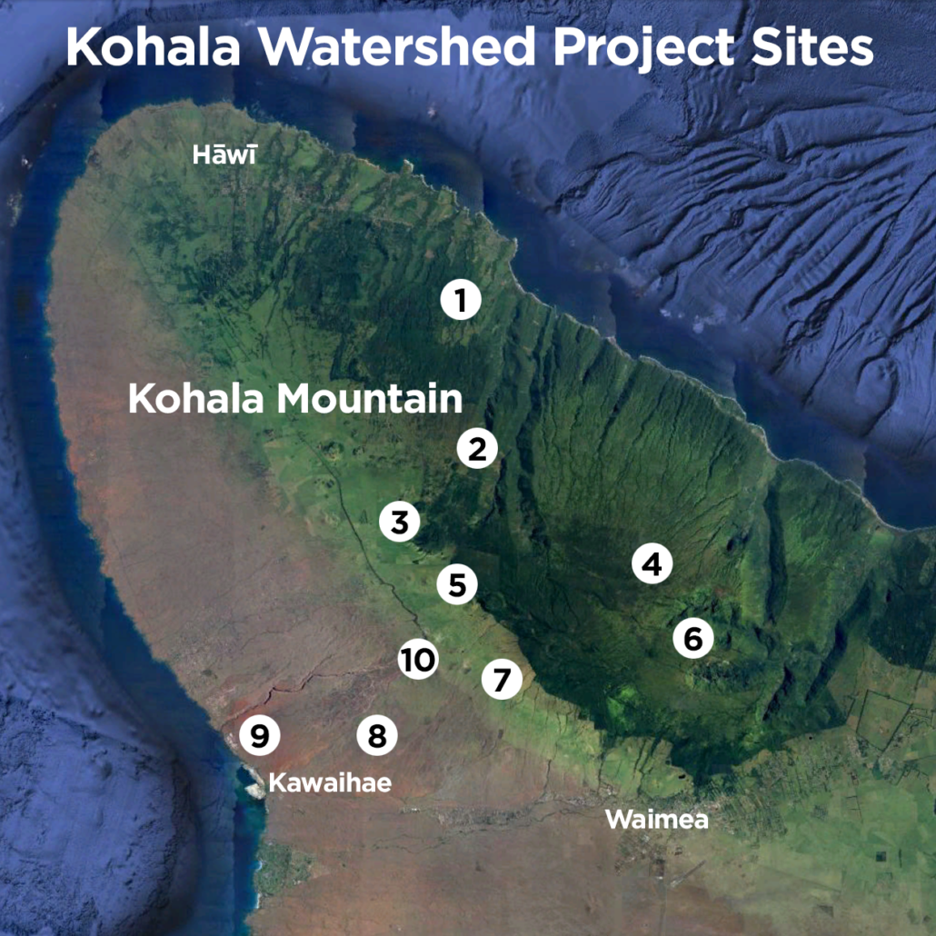 Kohala Watershed Partnership Projects A Program Of The Kohala Center   Kohala Mountain Map 1 1030x1030 