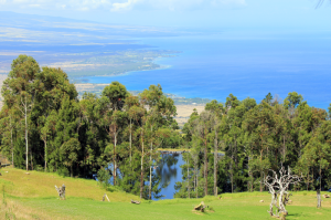 The 60-acre campus features a reservoir, water purification and photovoltaic systems, and stunning views of the Kohala Coast.