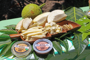 Hawai‘i ‘Ulu Cooperative's products include fresh fruit, frozen ‘ulu in a variety of ready-to-cook cuts, and its ‘Ulu Lā line of prepared foods such as breadfruit hummus and breadfruit chocolate mousse
