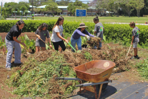 Community members help students at Waimea Elementary School build a compost pile.
