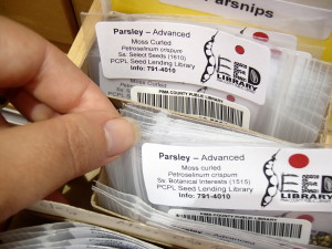 A customer peruses a sampling of available seeds at the Pima County (Arizona) Public Library’s seed library.
