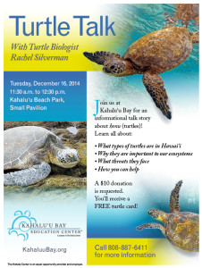 TurtleTalk_Dec14_Flyer