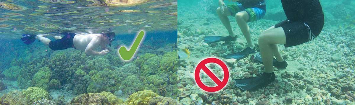 Left: A snorkeler at Kahalu‘u Bay stays afloat above the coral reef. Right: Snorkelers standing on rocks and rubble, damaging and even killing new coral growth.