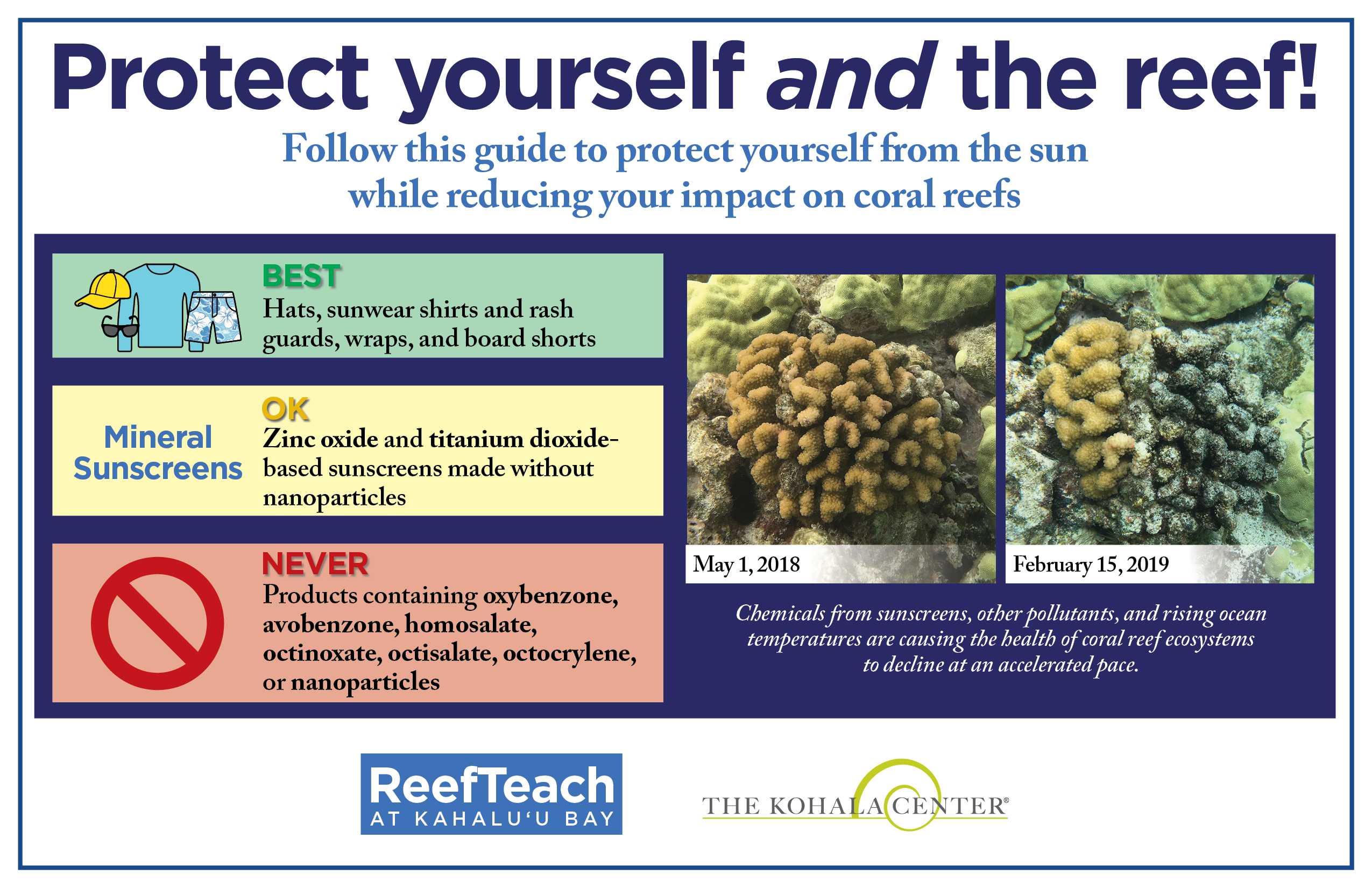 Reef Safe Sunscreens: Is Your Sunscreen Safe For Coral?